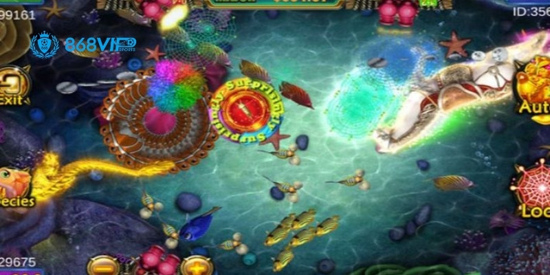 Lưu Ý Quan Trọng Khi Chơi Bắn Cá Xèng