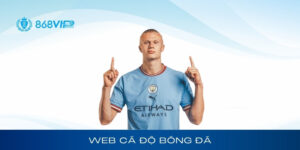 Web cá độ bóng đá