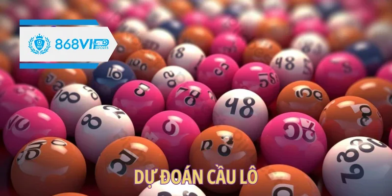 Hướng dẫn dự đoán cầu lô chính xác cập nhật 2025